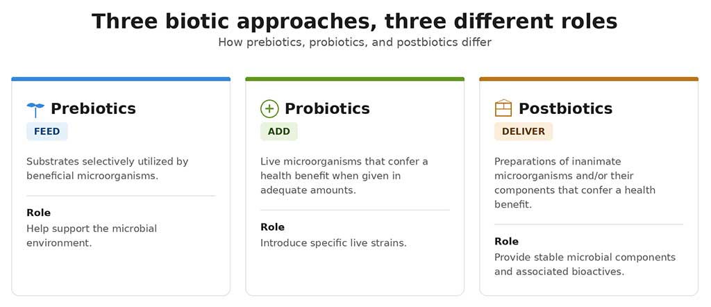 Comparison of prebiotics, probiotics, and postbiotics and how each acts on the gut microbiome