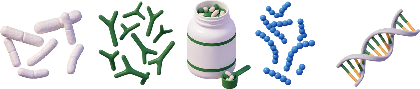 Probiotic strains and capsules illustration