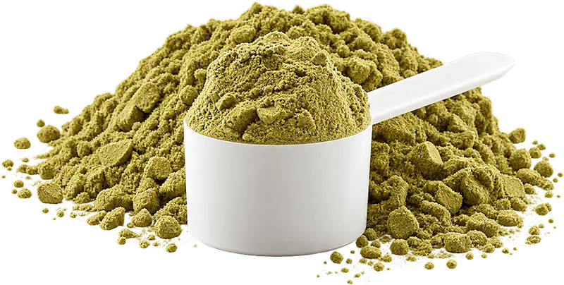 Scoop of green plant-based protein powder on a heap of powder